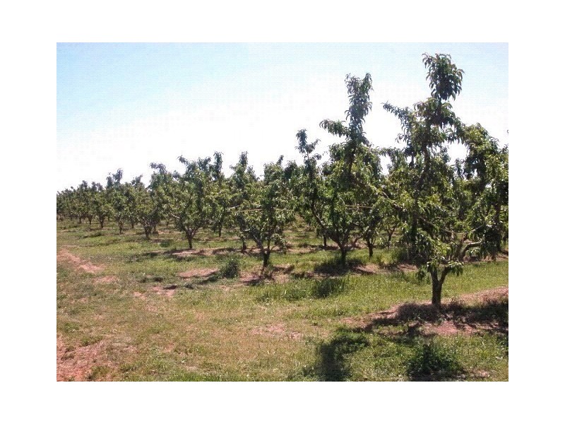 Channel Road, Shepparton East VIC 3631