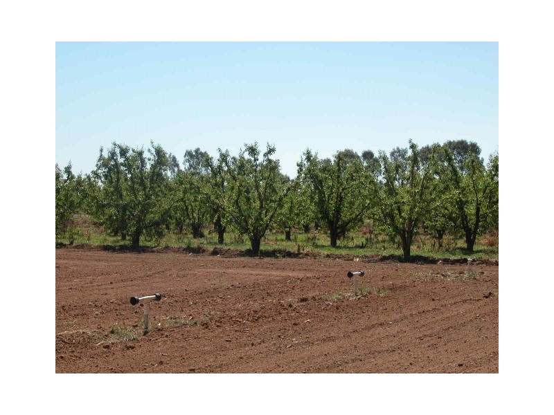 Channel Road, Shepparton East VIC 3631