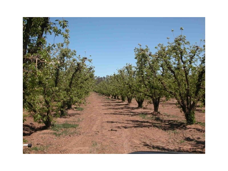 Channel Road, Shepparton East VIC 3631