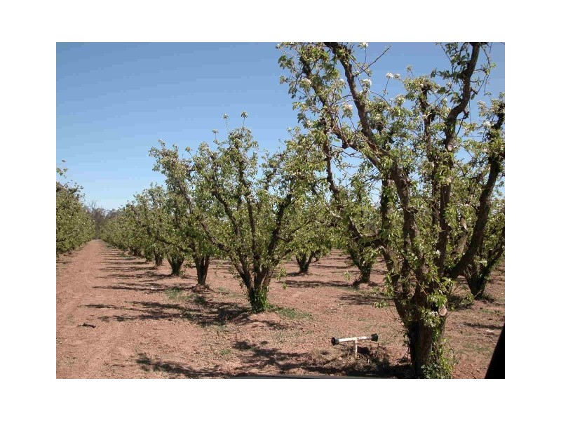 Channel Road, Shepparton East VIC 3631