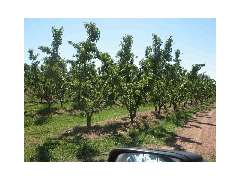 Channel Road, Shepparton East VIC 3631