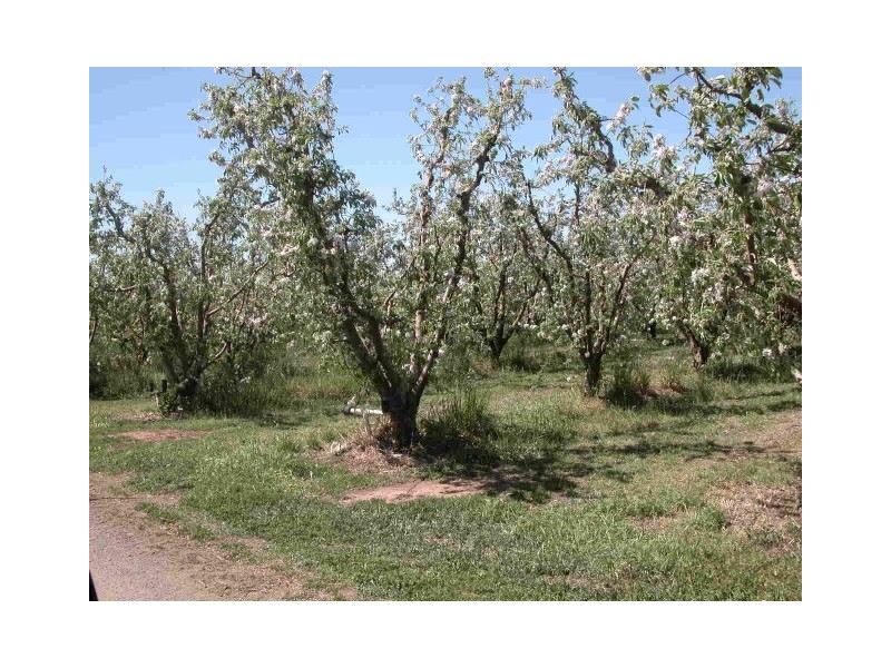 Channel Road, Shepparton East VIC 3631