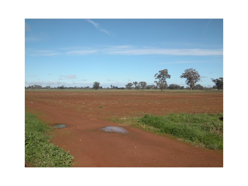 CNR Collie Road & Harston Road, Tatura VIC 3616