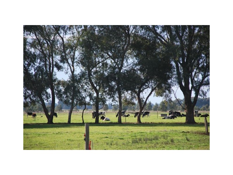 235 Sampson Road, Numurkah VIC 3636