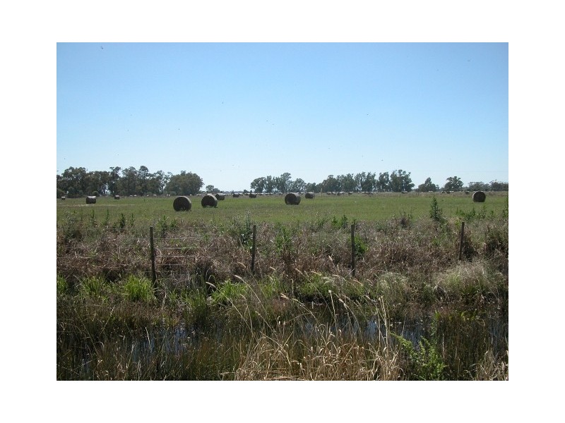 460 West Bunbartha Road, Tallygaroopna VIC 3634