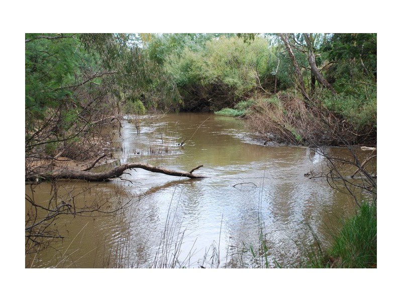 Shepparton East VIC 3631