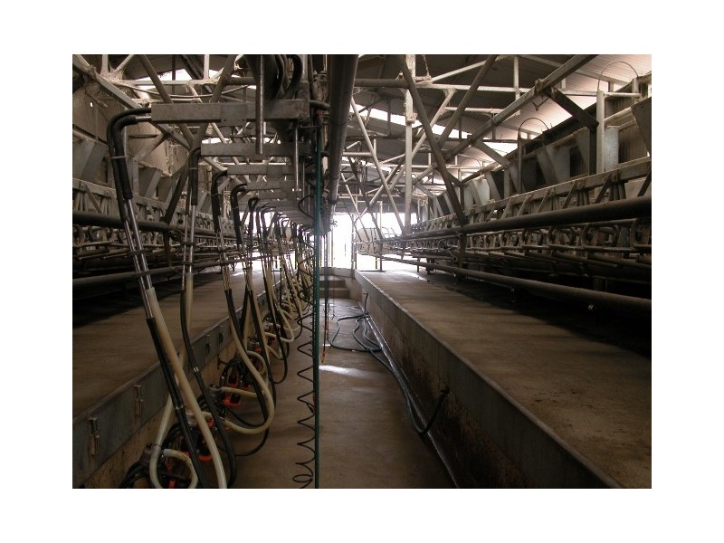 50 Zeerust School Road, Zeerust VIC 3634