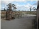 767 Grinter Road, Katamatite VIC 3649