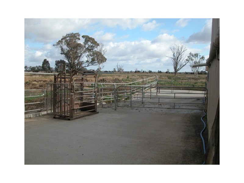 767 Grinter Road, Katamatite VIC 3649