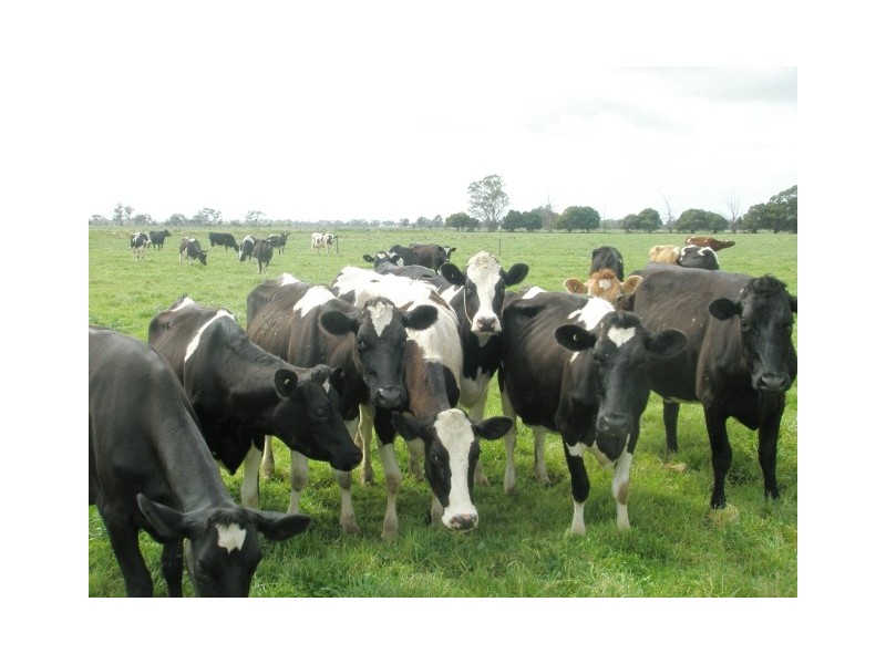 182 Union Road, Katandra West VIC 3634