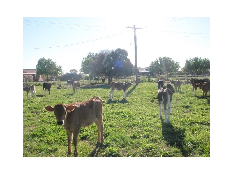 182 Union Road, Katandra West VIC 3634