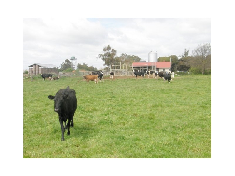 182 Union Road, Katandra West VIC 3634