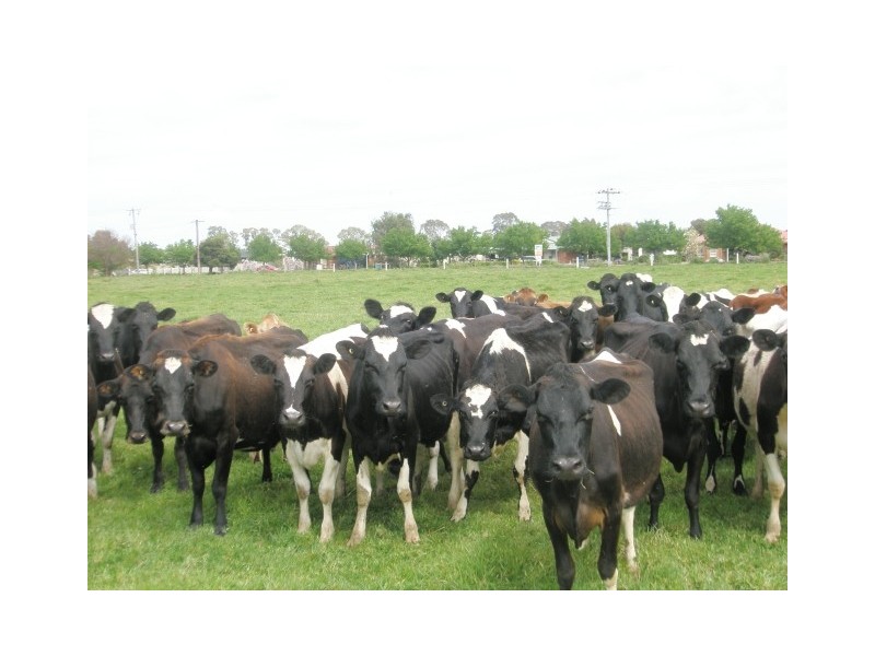 182 Union Road, Katandra West VIC 3634