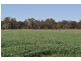 2340 Katamatite Shepparton Road, Tallygaroopna VIC 3634