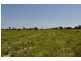 2340 Katamatite Shepparton Road, Tallygaroopna VIC 3634