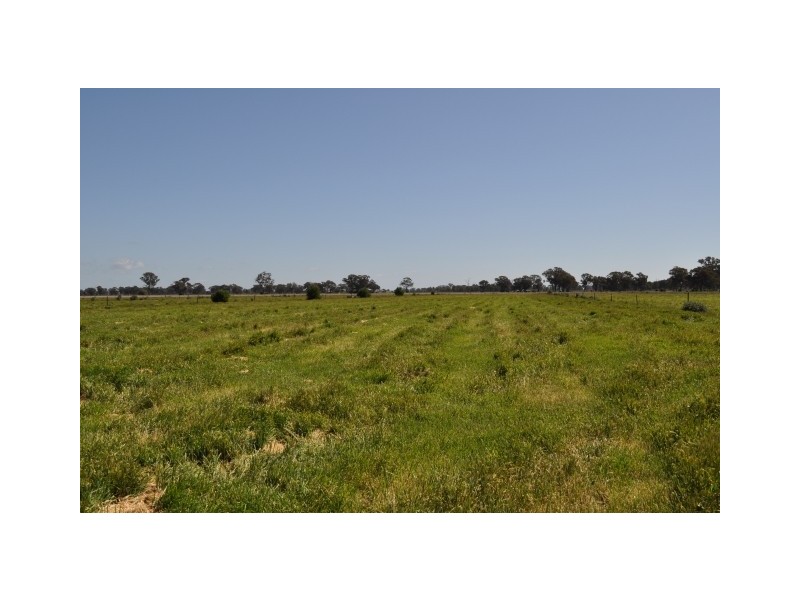 2340 Katamatite Shepparton Road, Tallygaroopna VIC 3634