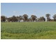 2340 Katamatite Shepparton Road, Tallygaroopna VIC 3634