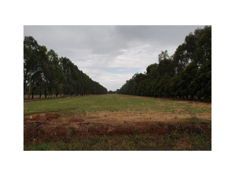 740 Lilford Road, Tatura VIC 3616