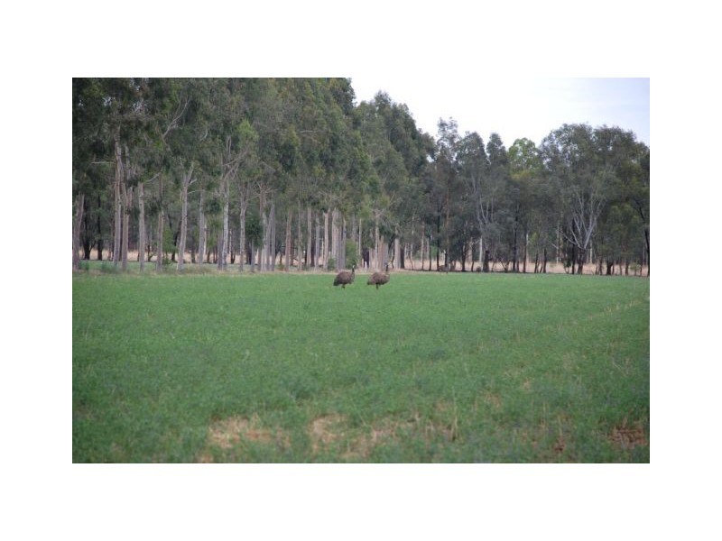 740 Lilford Road, Tatura VIC 3616