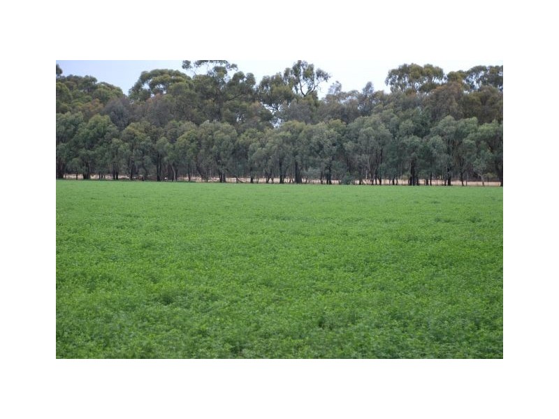 740 Lilford Road, Tatura VIC 3616