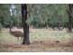 740 Lilford Road, Tatura VIC 3616