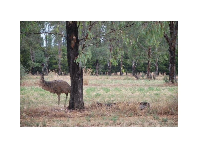 740 Lilford Road, Tatura VIC 3616