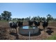 925 Poole Road, Harston VIC 3616