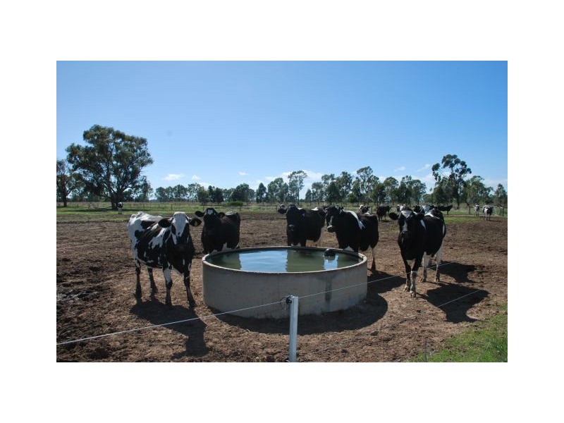 925 Poole Road, Harston VIC 3616