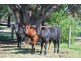 Drumanure Road, Invergordon VIC 3636