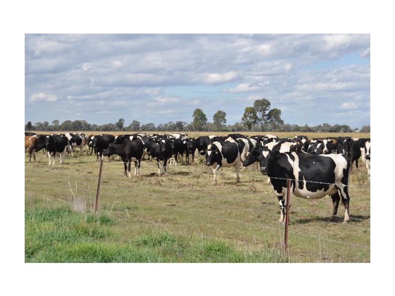 75 Park Road, Undera VIC 3629