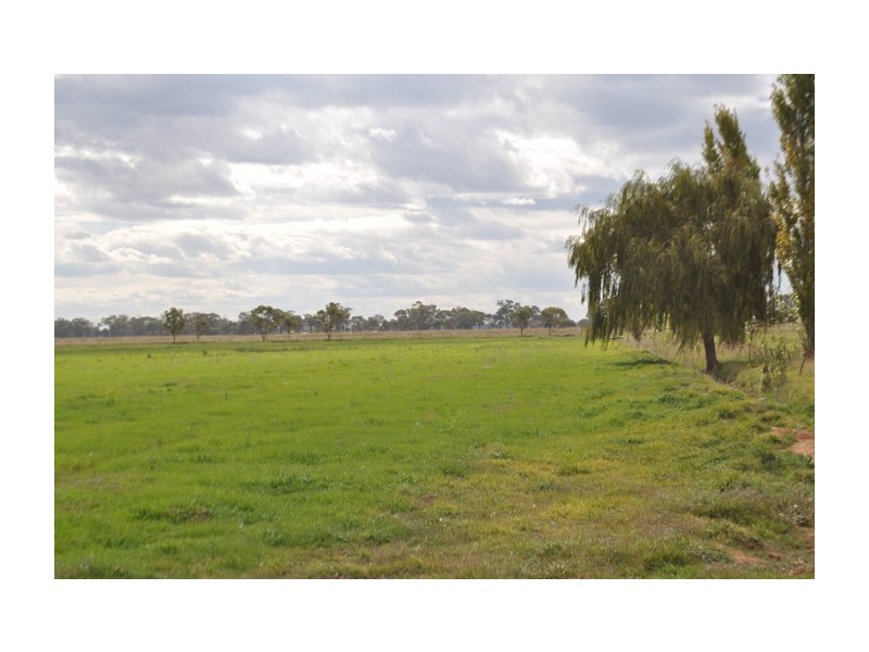 75 Park Road, Undera VIC 3629