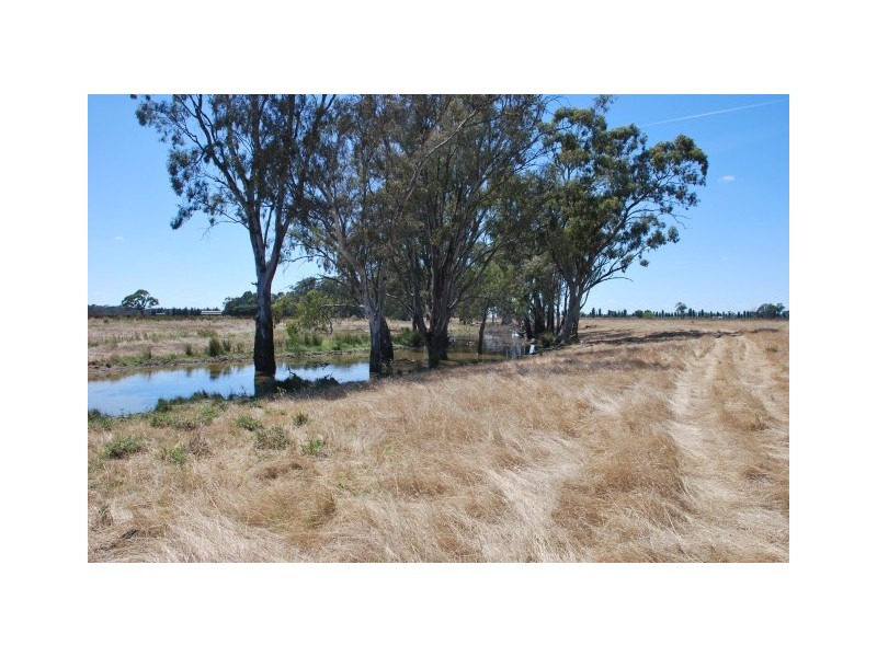 835 River Road, Kialla East VIC 3631