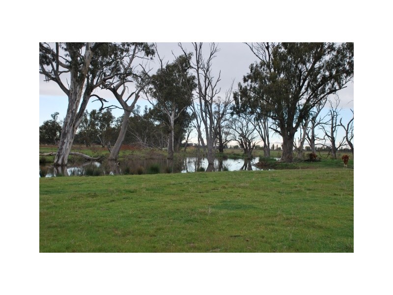 835 River Road, Kialla East VIC 3631