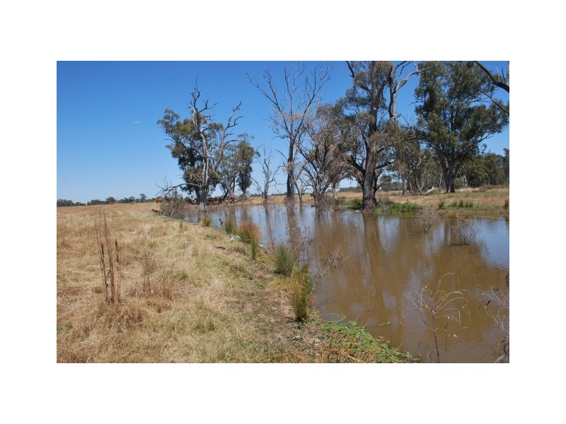 835 River Road, Kialla East VIC 3631