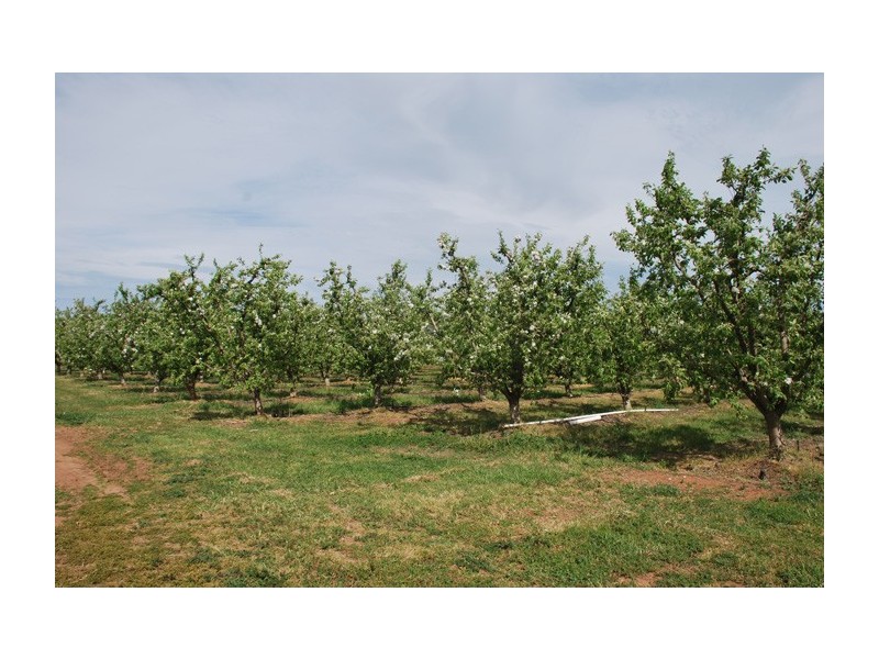 597 Channel Road, Shepparton East VIC 3631