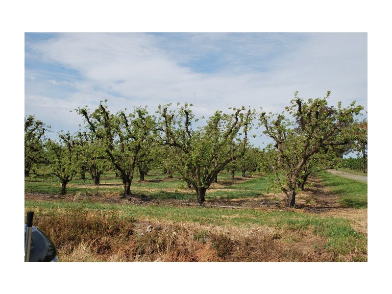 597 Channel Road, Shepparton East VIC 3631