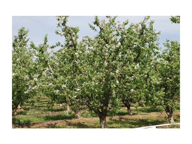 597 Channel Road, Shepparton East VIC 3631