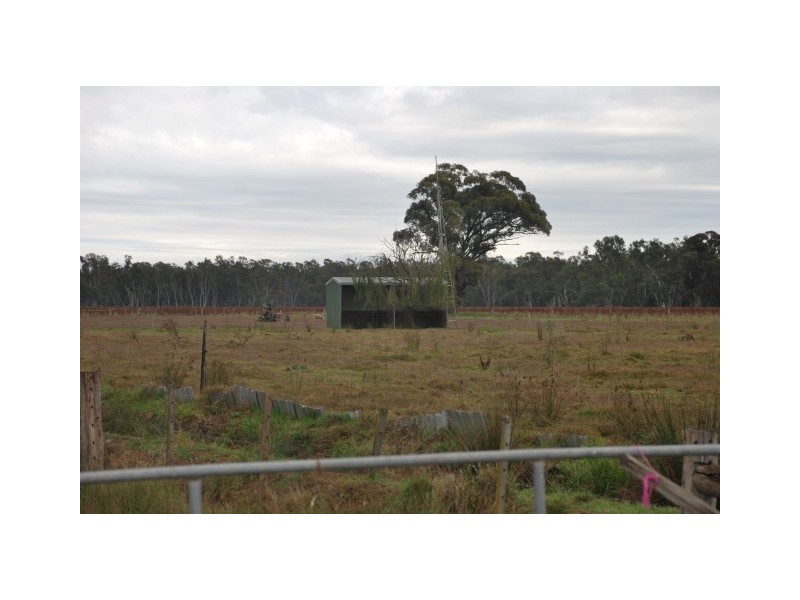 895 River Road, Kialla East VIC 3631