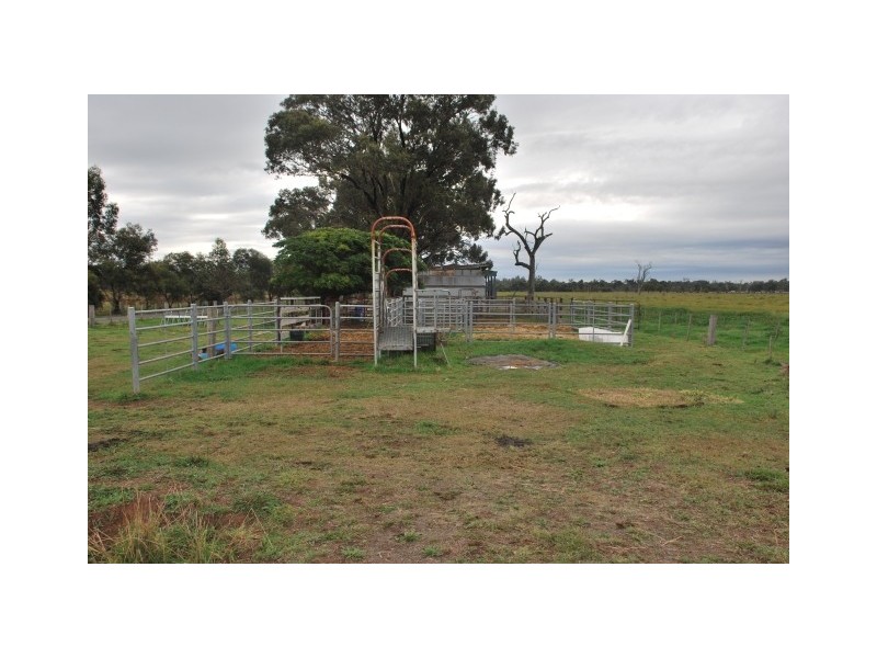 895 River Road, Kialla East VIC 3631