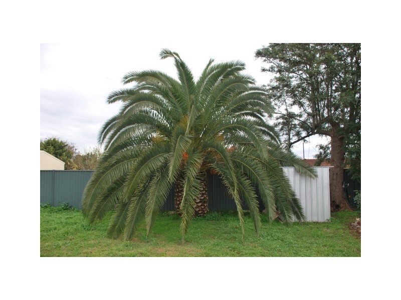 28 Bankin Street, Katandra West VIC 3634