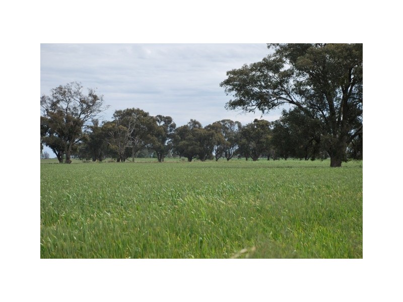 CNR Waaia Bearii & Kaarimba Road, Kaarimba VIC 3635