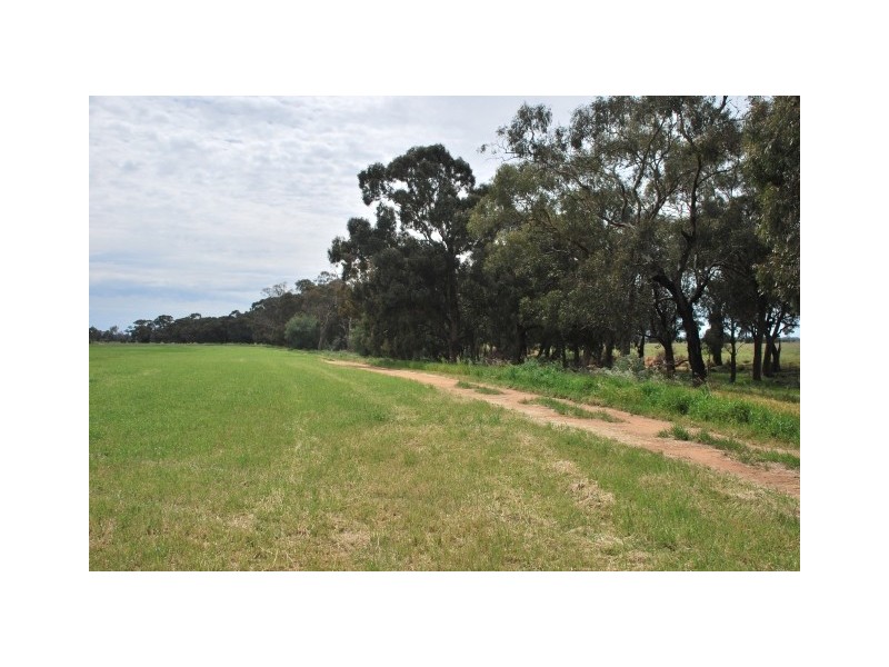 CNR Waaia Bearii & Kaarimba Road, Kaarimba VIC 3635