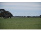 CNR Waaia Bearii & Kaarimba Road, Kaarimba VIC 3635