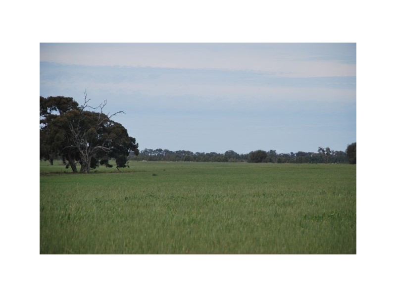 CNR Waaia Bearii & Kaarimba Road, Kaarimba VIC 3635