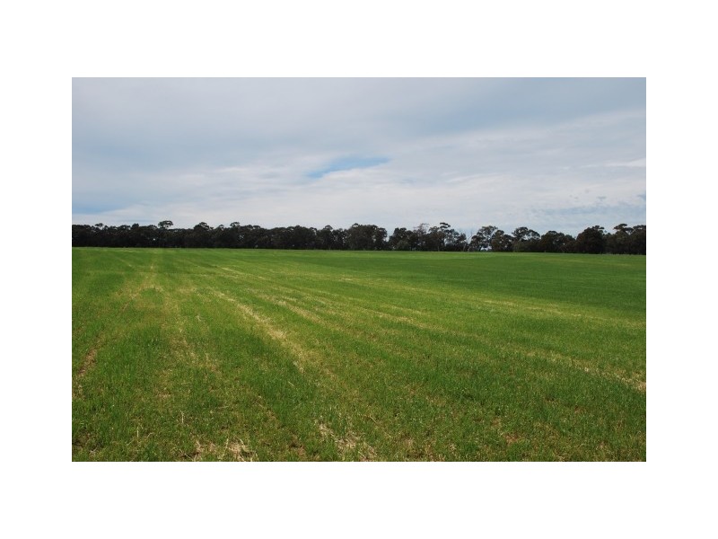 CNR Waaia Bearii & Kaarimba Road, Kaarimba VIC 3635