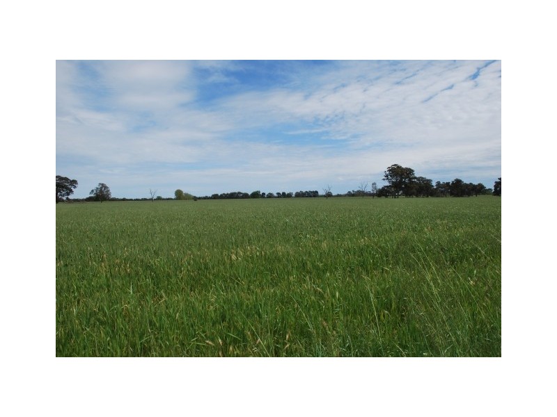 CNR Waaia Bearii & Kaarimba Road, Kaarimba VIC 3635