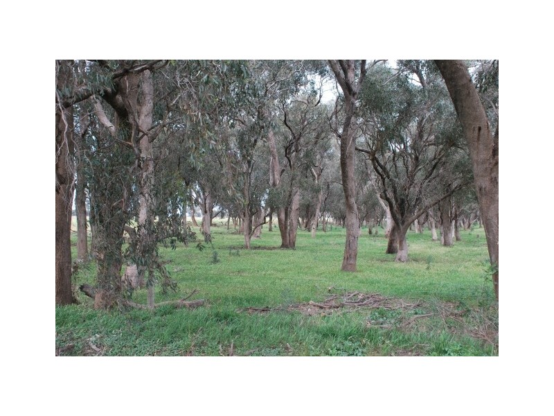 CNR Waaia Bearii & Kaarimba Road, Kaarimba VIC 3635