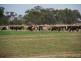 851 Spences Road, Katunga VIC 3640