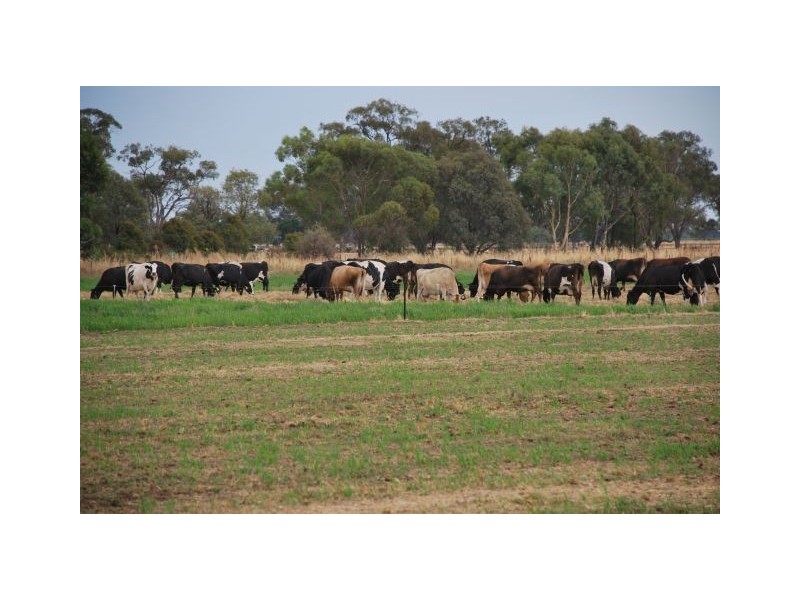 851 Spences Road, Katunga VIC 3640