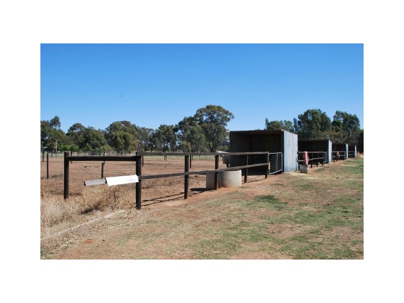 95 Merrigum Ardmona Road, Merrigum VIC 3618